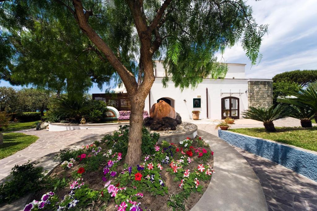 Hotel Ideal Forio  Exterior photo